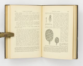 A Manual of the Coniferae, containing a General Review of the Order; a Synopsis of the Hardy Kinds cultivated in Great Britain; their Place and Use in Horticulture ...