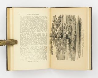 A Manual of the Coniferae, containing a General Review of the Order; a Synopsis of the Hardy Kinds cultivated in Great Britain; their Place and Use in Horticulture ...