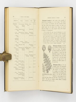 A Manual of the Coniferae, containing a General Review of the Order; a Synopsis of the Hardy Kinds cultivated in Great Britain; their Place and Use in Horticulture ...