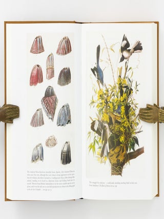 On the Origin of Species. By Means of Natural Selection, or the Preservation of Favoured Races in the Struggle for Life