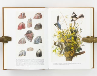 On the Origin of Species. By Means of Natural Selection, or the Preservation of Favoured Races in the Struggle for Life