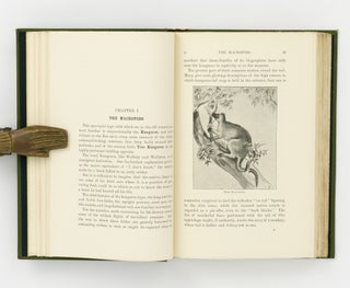 A Sketch of the Natural History of Australia, with Some Notes on Sport