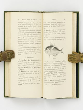 A Sketch of the Natural History of Australia, with Some Notes on Sport
