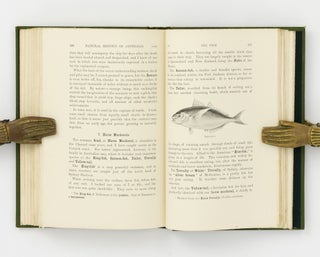 A Sketch of the Natural History of Australia, with Some Notes on Sport