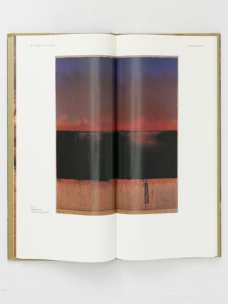 Tim Storrier. The Art of the Outsider