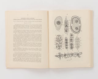 Aboriginal Crayon Drawings. [A series of four articles contained in the 'Transactions of the Royal Society of South Australia', Volumes 61, 62 (Part 2) and 63 (Part 1)]