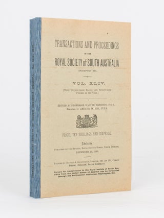 Item #20759 Vocabularies of Four South Australian Languages - Adelaide, Narrunga, Kukata, and...