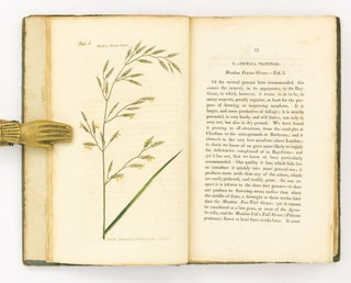 Practical Observations on the British Grasses, especially such as are best adapted to the laying down or improving of Meadows and Pastures: likewise an Enumeration of the British Grasses ... Sixth Edition, with Considerable Additions by John Lawrence ... To which is subjoined, a Short Account of the Causes of the Diseases in Corn, called by Farmers the Blight, the Mildew, and the Rust; by Sir Joseph Banks