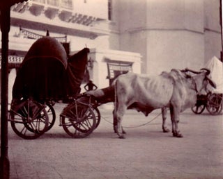 A large collection of Edwardian snapshots of travels in India, China and Central Asia