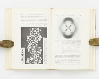 Molecular Biology of the Gene