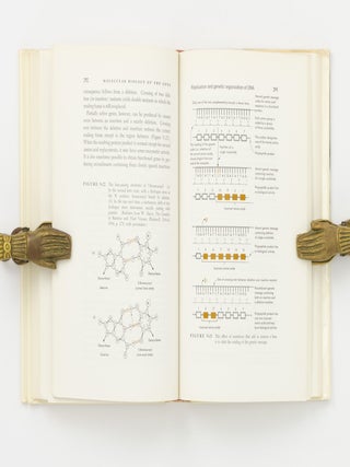 Molecular Biology of the Gene