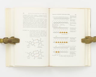 Molecular Biology of the Gene