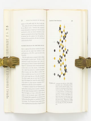 Molecular Biology of the Gene