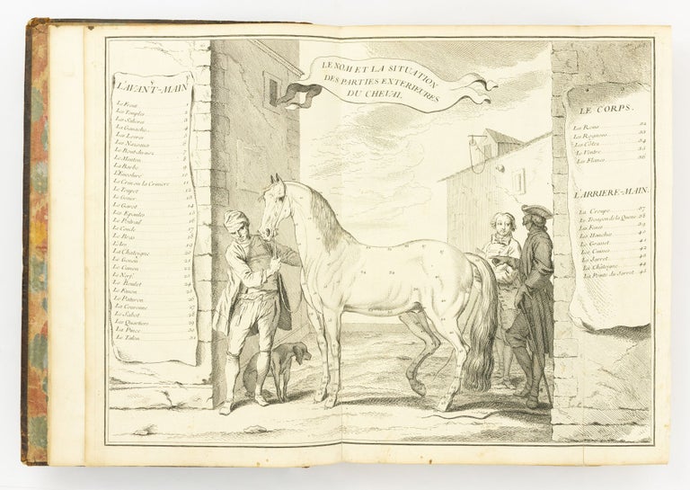 Item #82093 Ecole de Cavalerie contenant la Connoissance, l'Instruction, et la Conservation du Cheval. Horses, M. De la GUERINIERE.