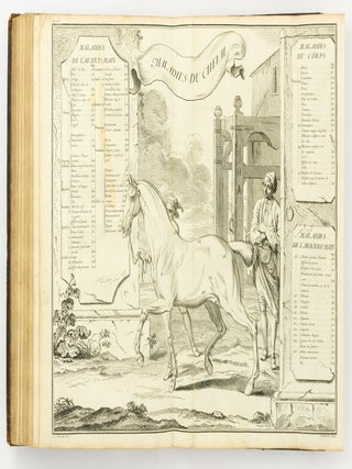 Ecole de Cavalerie contenant la Connoissance, l'Instruction, et la Conservation du Cheval