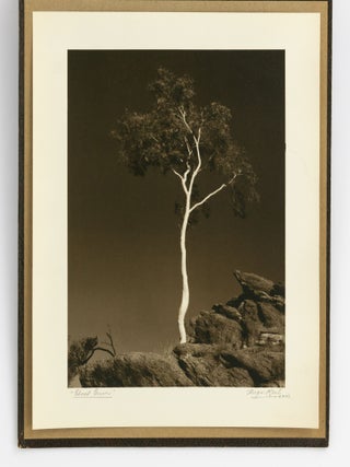 An album of 25 bromoil prints of Central Australia, individually captioned and signed by the photographer