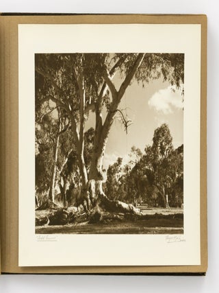 An album of 25 bromoil prints of Central Australia, individually captioned and signed by the photographer