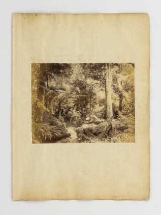 A collection of 24 carte-de-visite portrait photographs of Indigenous Australians, circa 1860s, most from the Yarra Valley and North-East Victoria