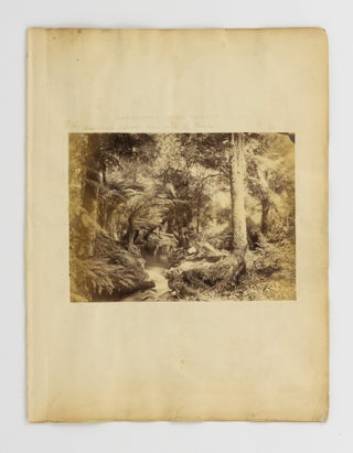 A collection of 24 carte-de-visite portrait photographs of Indigenous Australians, circa 1860s, most from the Yarra Valley and North-East Victoria