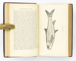 The Rod in India. Being Hints how to obtain Sport, with Remarks on the Natural History of Fish and their Culture, and Illustrations of Fish and Tackle