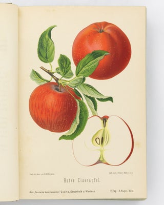 Aepfel und Birnen. Die wichtigsten deutschen Kernobstsorten. [Apples and Pears. The Main German Varieties of Pome Fruit]