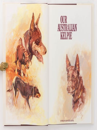 Our Australian Kelpie