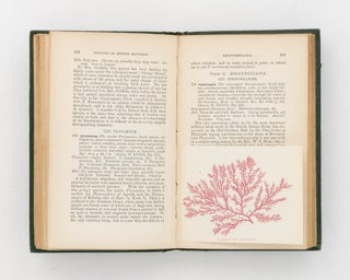 Synopsis of the British Seaweeds, compiled from Professor Harvey's Phycologia Britannica
