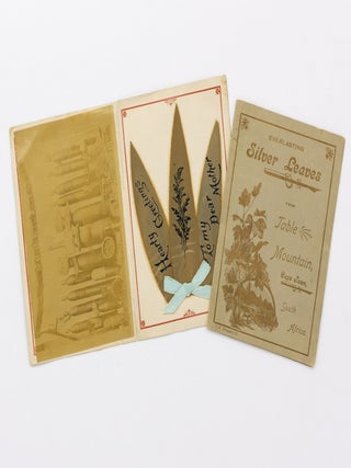Item #99831 Everlasting Silver Leaves, from Table Mountain, Cape Town, South Africa [cover...