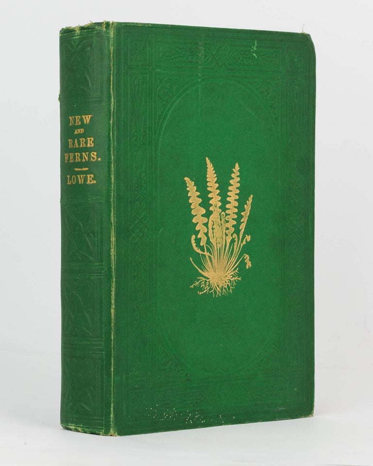 Item #99863 A Natural History of New and Rare Ferns. Containing Species and Varieties, none of which are included in any of the eight volumes of 'Ferns, British and Exotic', amongst which are the New Hymenophyllums and Trichomanes. E. J. LOWE.