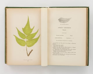 A Natural History of New and Rare Ferns. Containing Species and Varieties, none of which are included in any of the eight volumes of 'Ferns, British and Exotic', amongst which are the New Hymenophyllums and Trichomanes