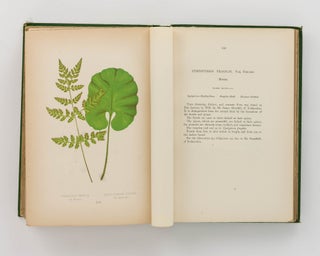 A Natural History of New and Rare Ferns. Containing Species and Varieties, none of which are included in any of the eight volumes of 'Ferns, British and Exotic', amongst which are the New Hymenophyllums and Trichomanes