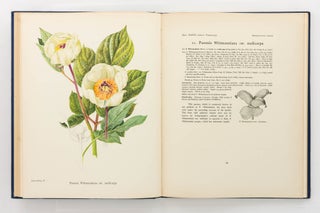 A Study of the Genus Paeonia