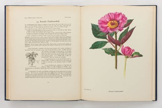 A Study of the Genus Paeonia