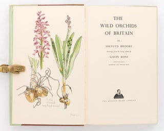 The Wild Orchids of Britain