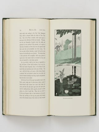 The Log of the Sun. A Chronicle of Nature's Year